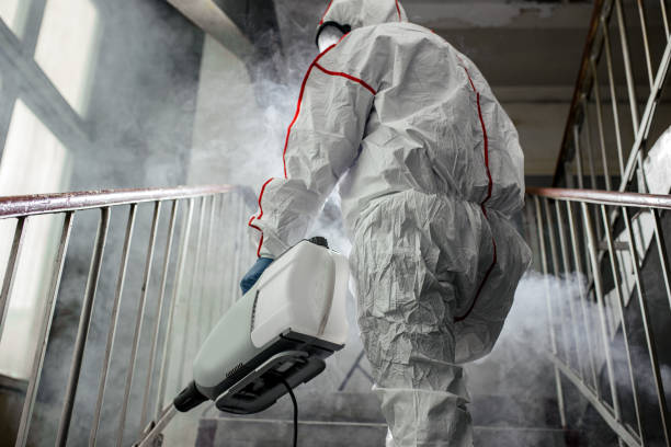 Professional Mold Removal in Big Bass Lake, PA